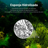 Sérum Exossomos para Poros e Textura da Pele