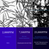 Sérum Exossomos para Poros e Textura da Pele